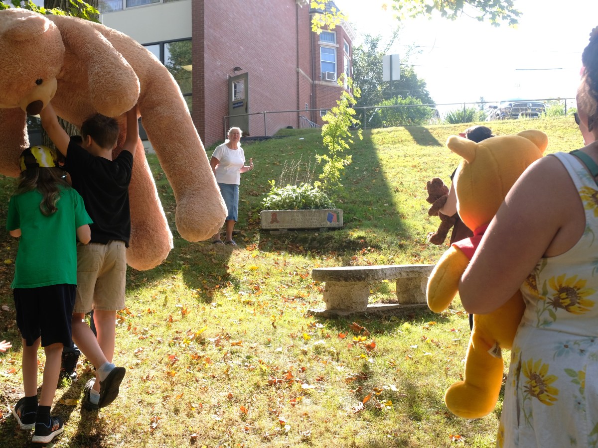 Bringing back the Teddy Bear Picnic