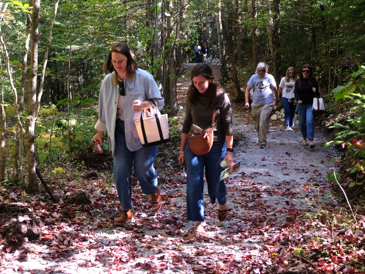 Rumford Community Forest celebrated as ‘symbol of Rumford’s resurgence’